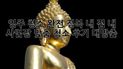 ✨ 영주 청소 완전 정복! 내 집, 내 사업장 맞춤 청소 후기 대방출 🏡🏢
